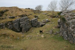 The Rakes: the remains of the Roman mining at Charterhouse